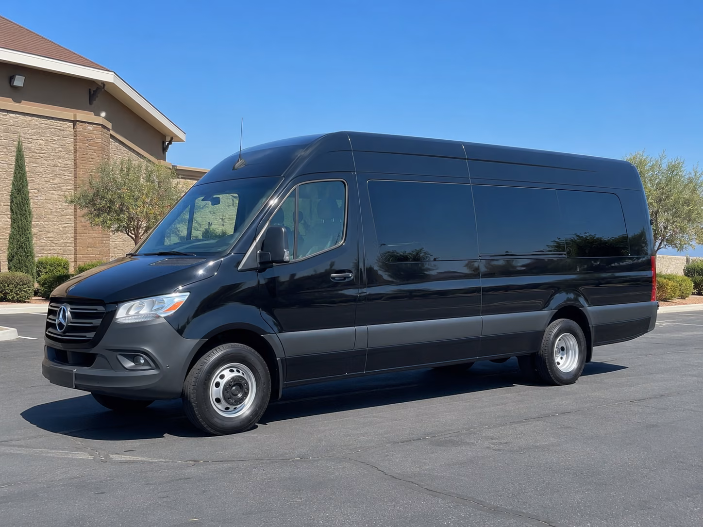 kid and tween birthday sprinter van parties in grand rapids michigan